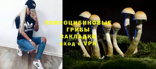 мдпв Балабаново