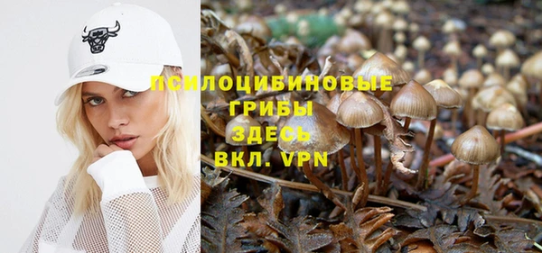 молекула духа Нея