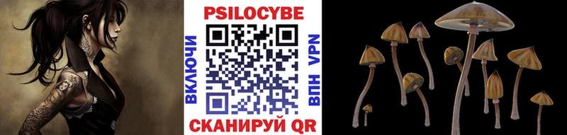 как найти наркотики  blacksprut сайт  Псилоцибиновые грибы Cubensis  Борзя 